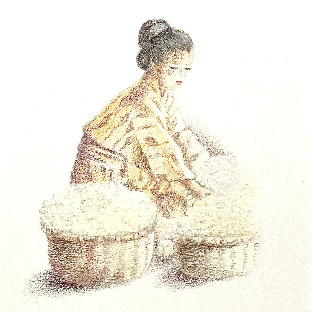 Leda, A Collection of Silk Stories / Leda, colección de cuentos de la seda