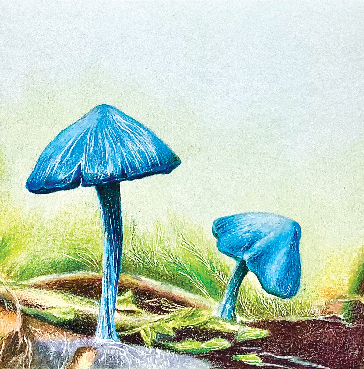 Champi conoce a su familia / Champi Meets His Family