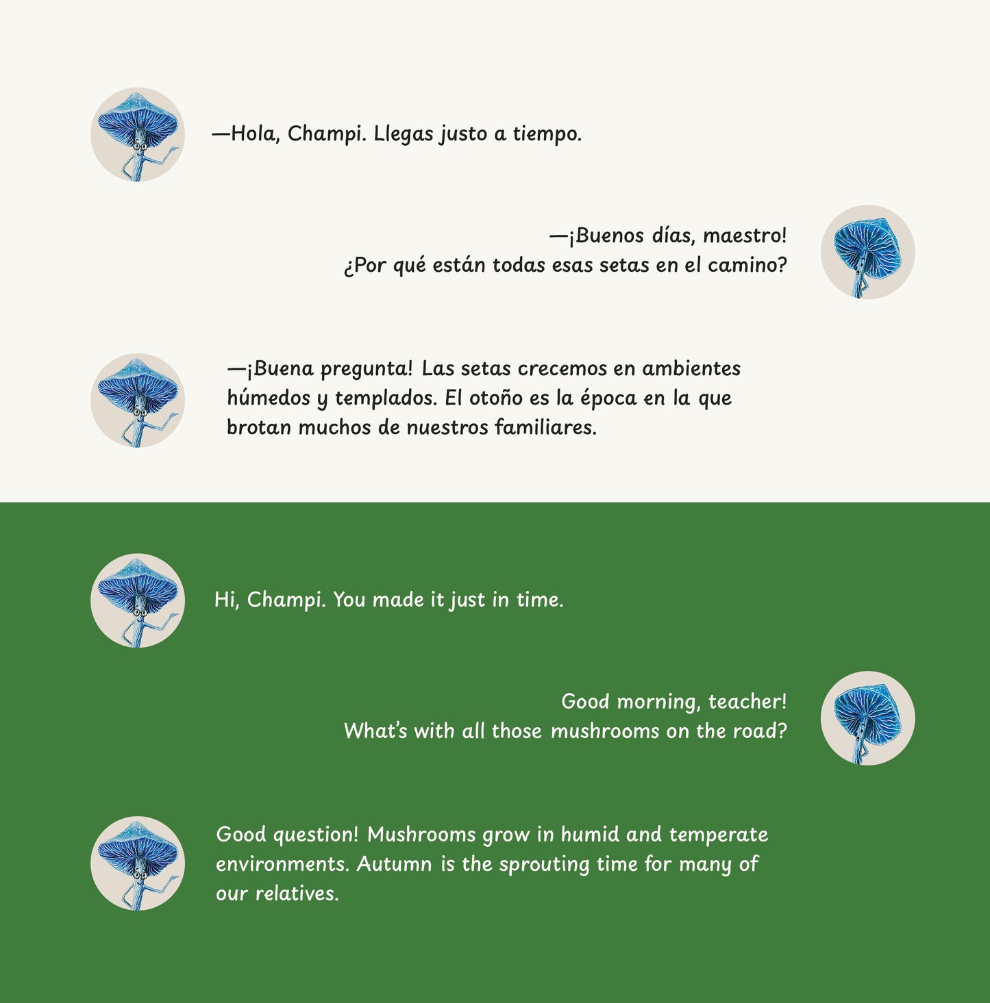 Champi visita al chef Porto / Champi Visits Chef Porto