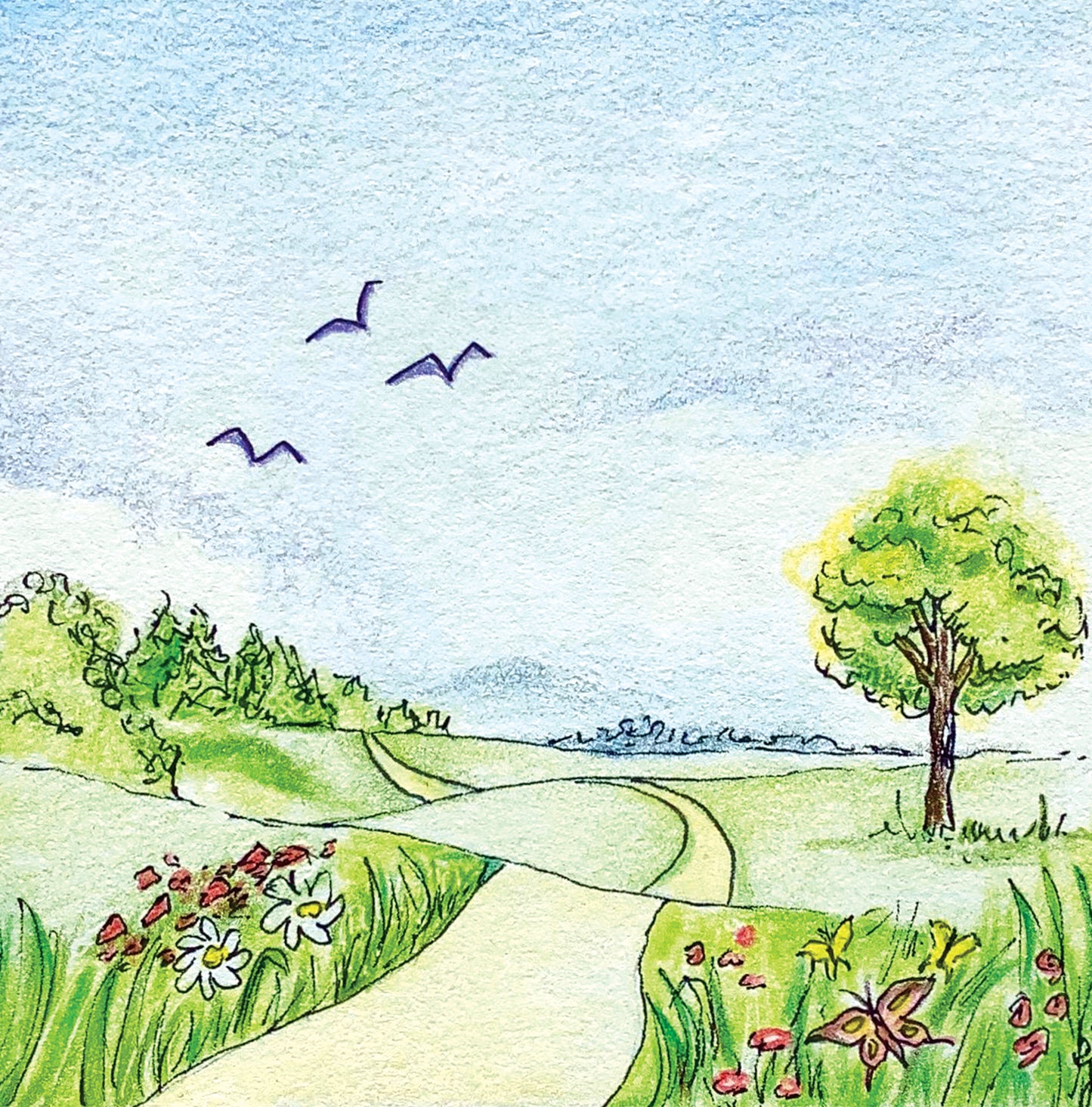 Dejemos que las cigarras lo cuenten / Let the Cicadas Tell Their Story